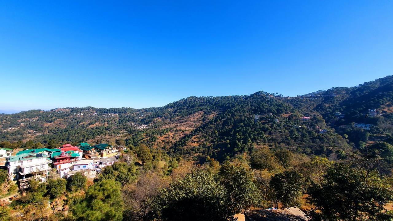 Wildleaf Kasauli Valley Homz Bed and Breakfast Exterior foto